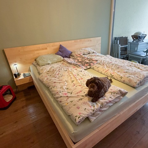 ref-1774271732-b35-nt-bett