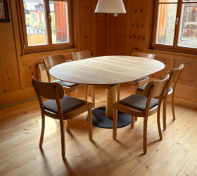 ref-1771235278-et320-sa-ausziehtisch