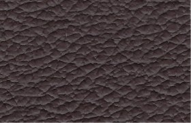 leder puma brown