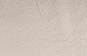 leder montana silver