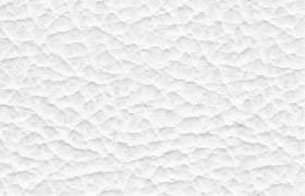 leder puma white
