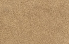 leder togo taupe