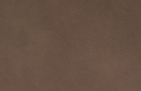 leder lome brown