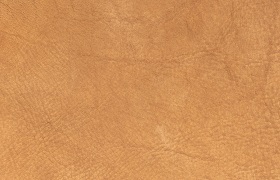 leder togo cognac