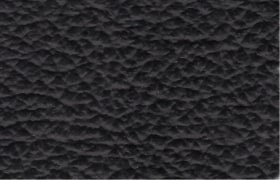 leder puma black
