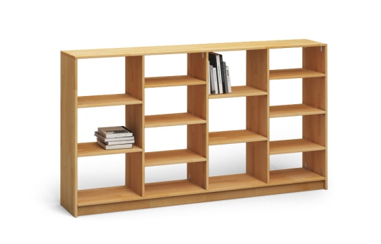 r202 regal massiv a1w buche kgl
