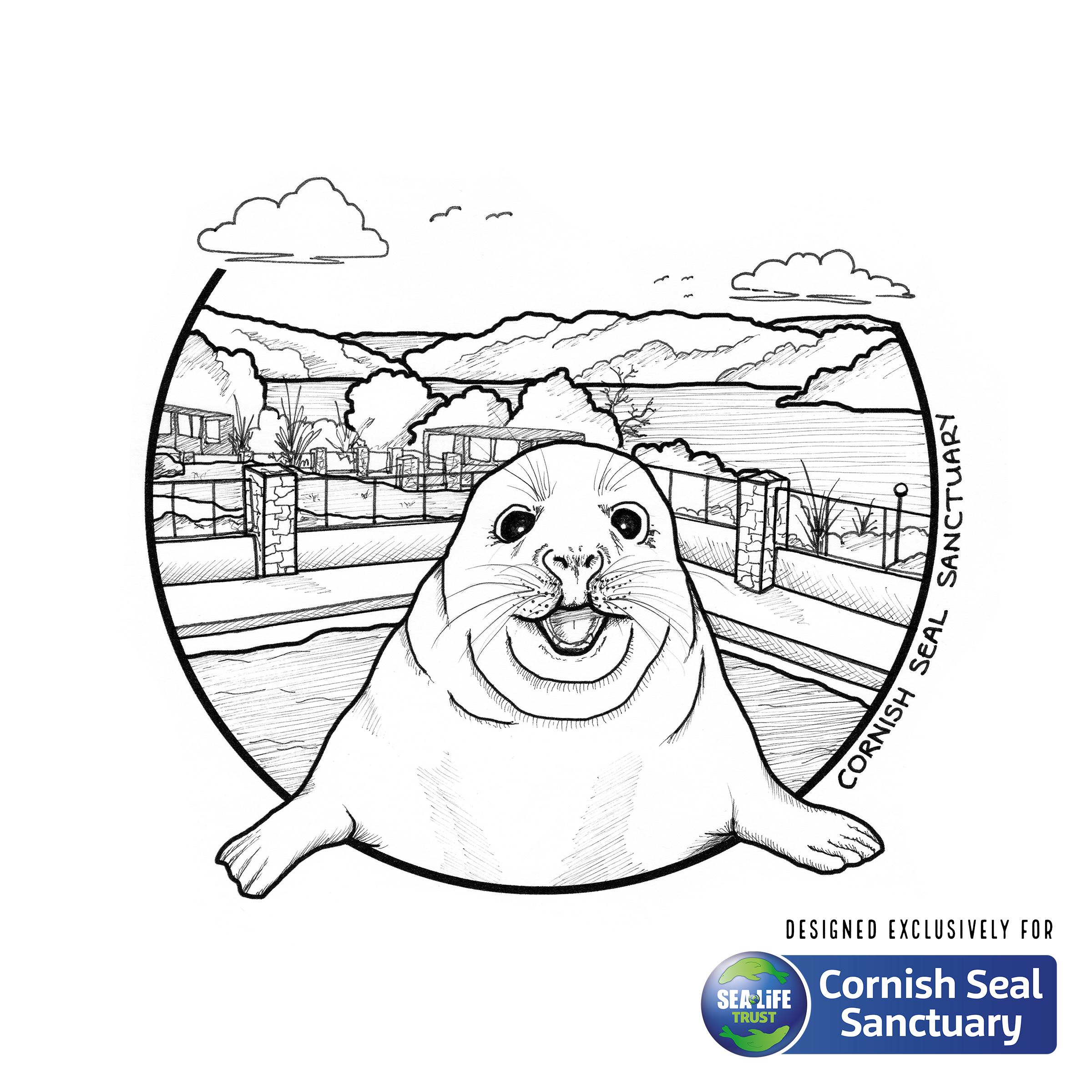 Cornish Seal Sanctuary Design