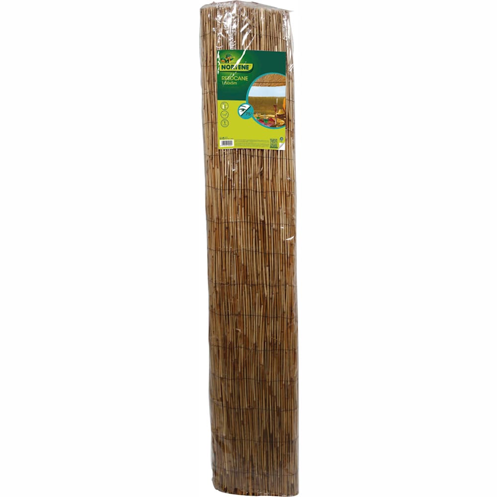Bambú chino