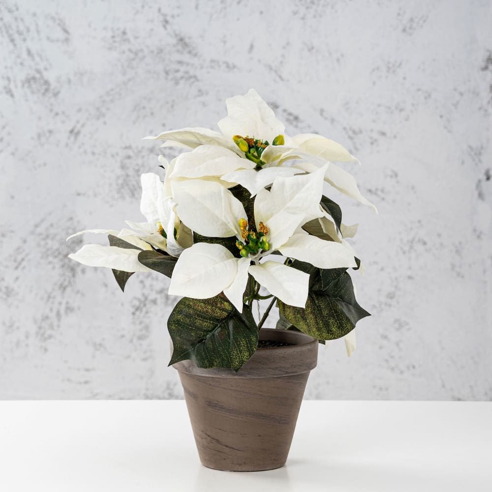 Comprar Flor de Pascua Artificial blanca
