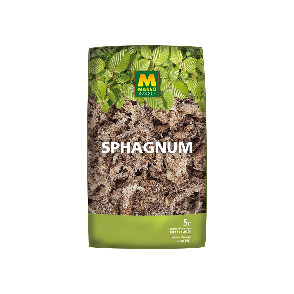 Musgo Sphagnum