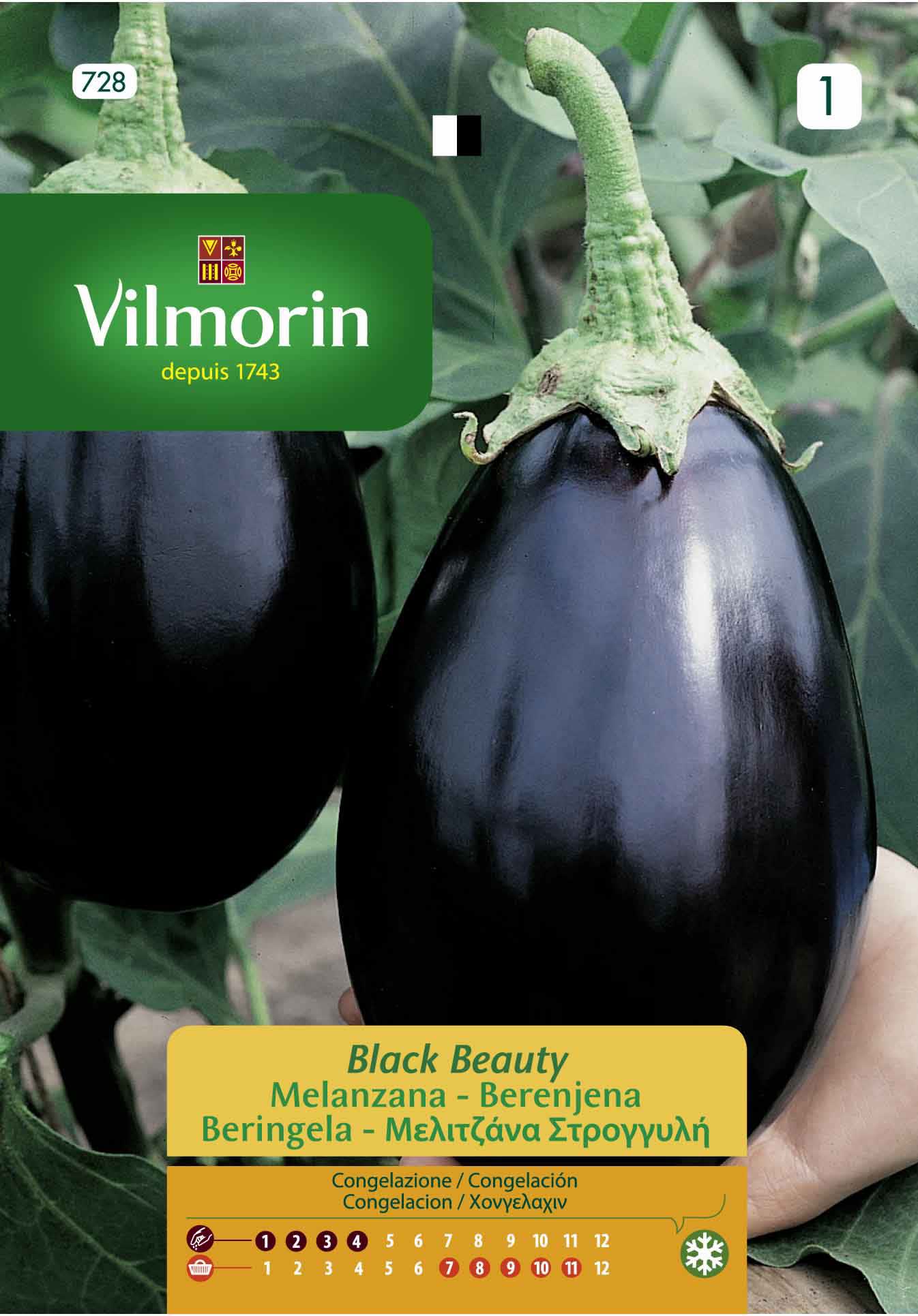 Comprar Semilla berenjena black beauty