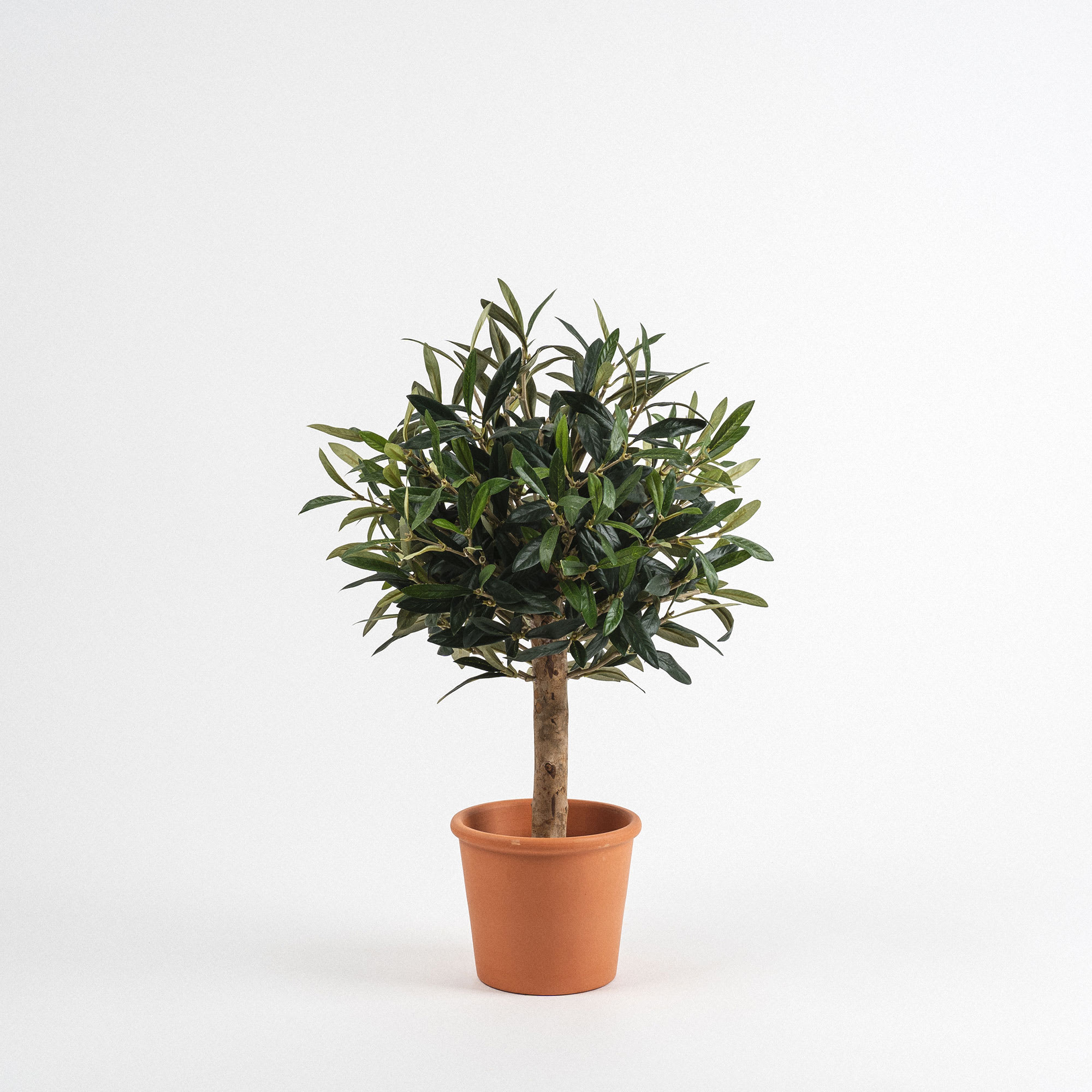 Árbol de Olivo 95 cm - planta artificial