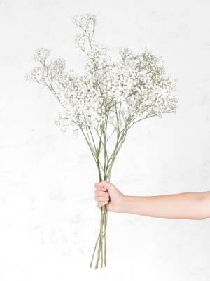 Ramillete de Paniculata Blanca