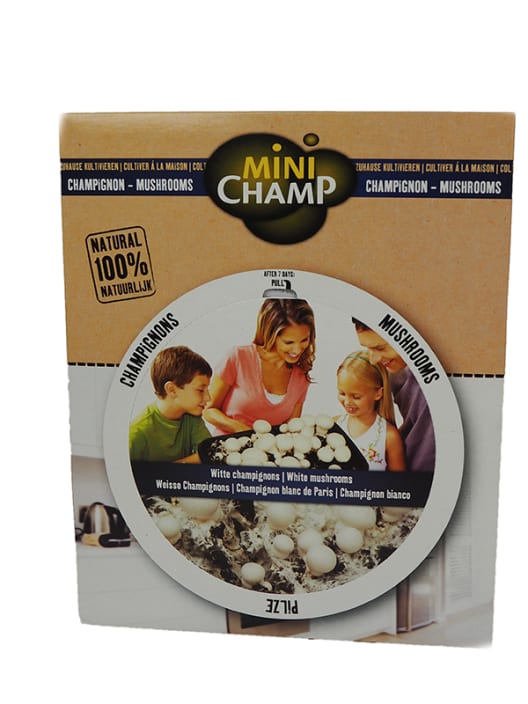 Kit de cultivo champiñón blanco