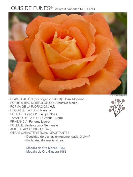 Rosal Louis de Funes®