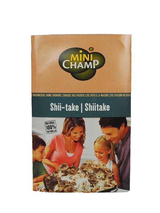 Kit de cultivo setas ostras o shiitake