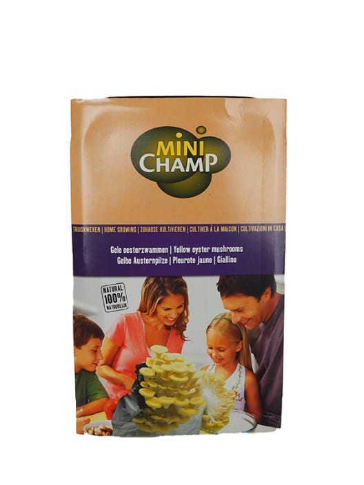 Kit de cultivo setas ostras o shiitake