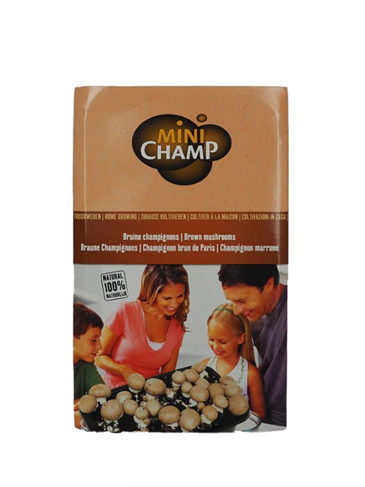 Kit de cultivo de champiñón blanco