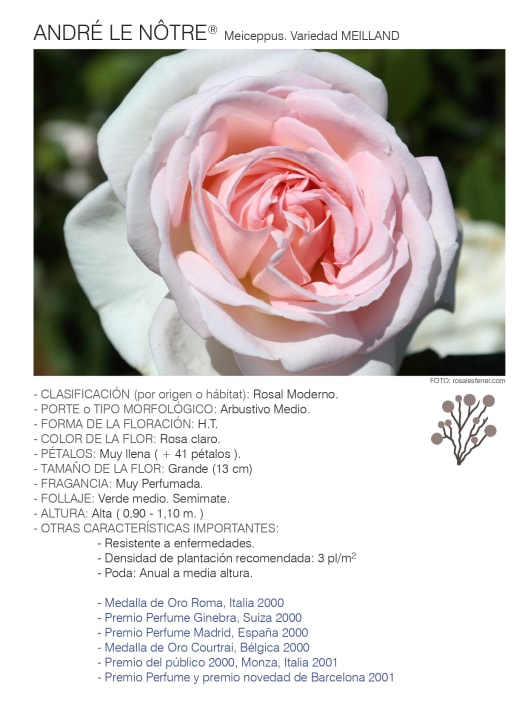 Rosal andre le notre 2 litros