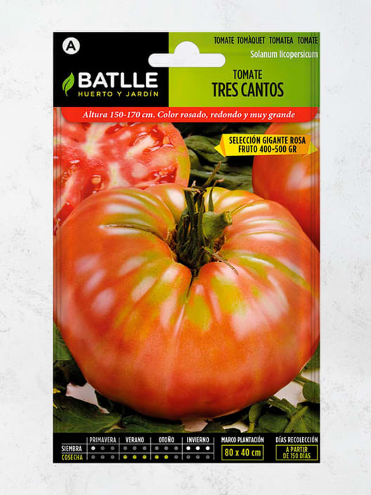 Semillas tomate 3 cantos gigante rosa