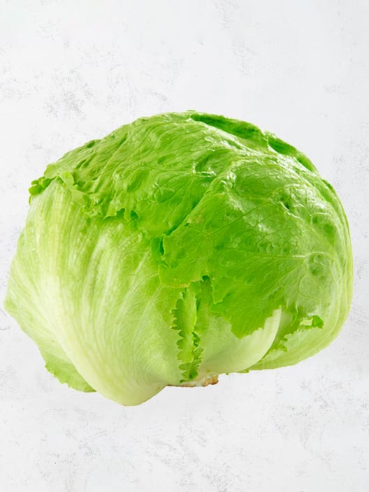 Lechuga Iceberg - Planta de huerto