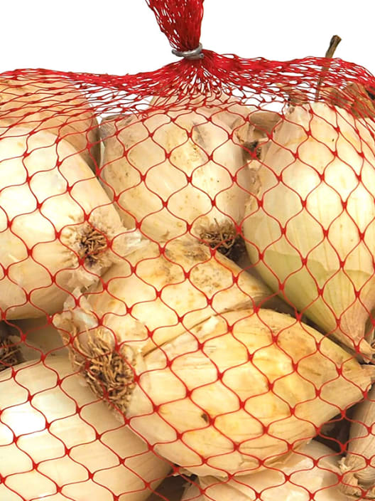 Calçots bolsa 2k  - Planta de huerto