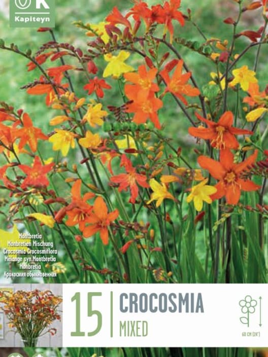 Bulbos Crocosmia crocosmiiflora mix colores 15uds