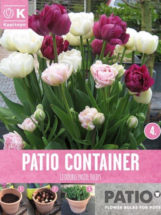 Bulbos de Tulipán Double Mix Pastel Colours Patio
