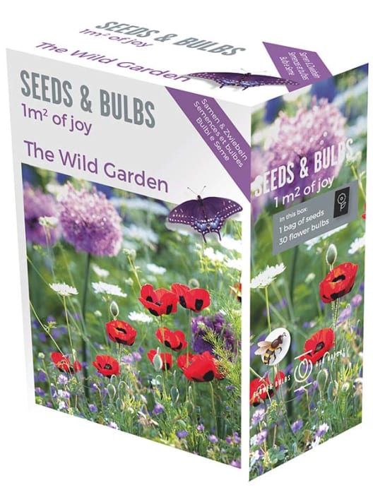 Caja 30 bulbos y semillas primavera lavender