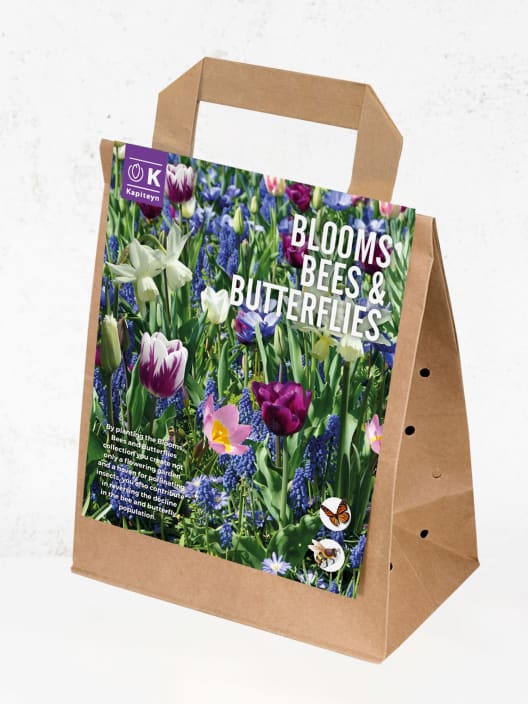 Bolsa 25 bulbos atrayentes insectos beneficiosos blanco y violeta