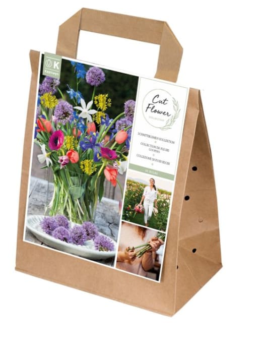Bolsa 40 bulbos spring mix cut flower