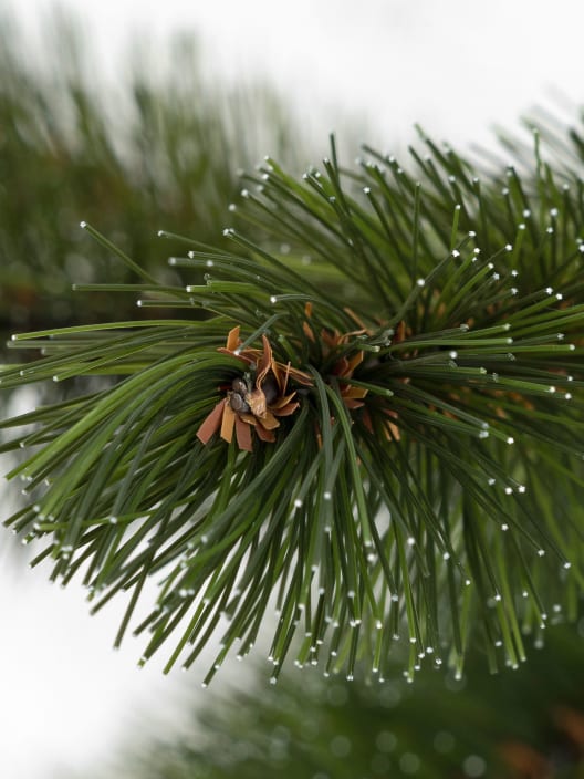 Mini Árbol de Navidad Artificial Forest invertido