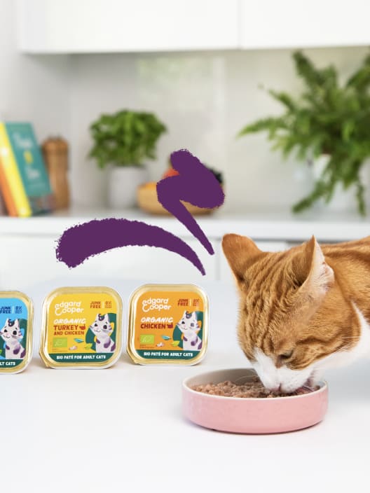 Paté ecológico de pavo (para gato adulto) Edgard&Cooper