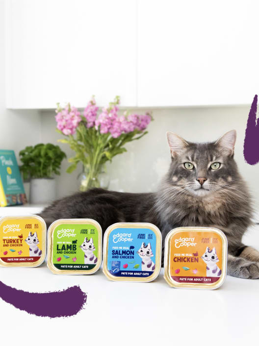 Comida húmeda para gatos adultos - Pack mixto (8 unidades) Edgard&Cooper