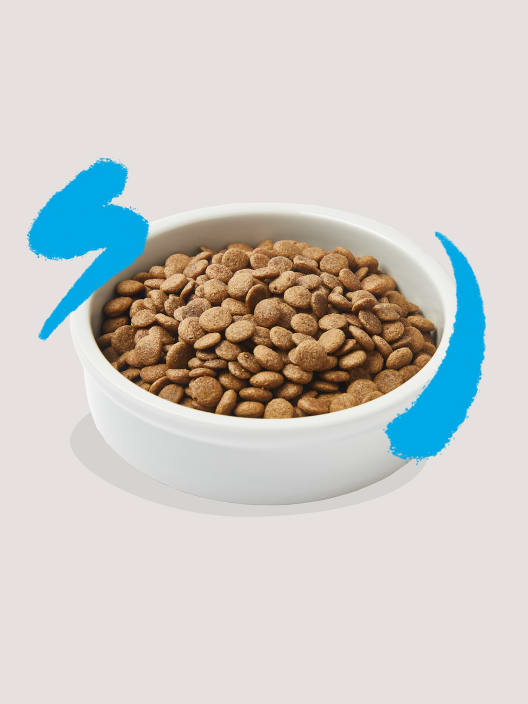 Comida seca Premium para gatos adultos (sabor salmón) Edgard&Cooper