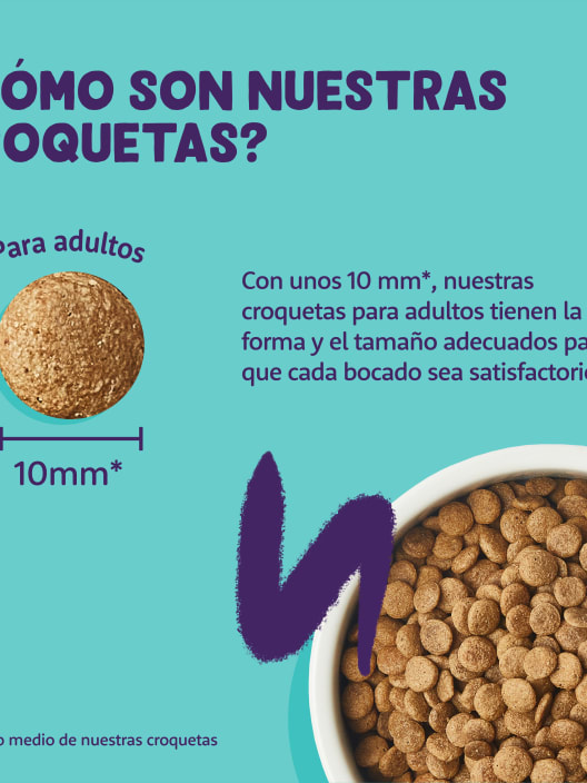 Comida seca Premium para gatos adultos (sabor salmón) Edgard&Cooper