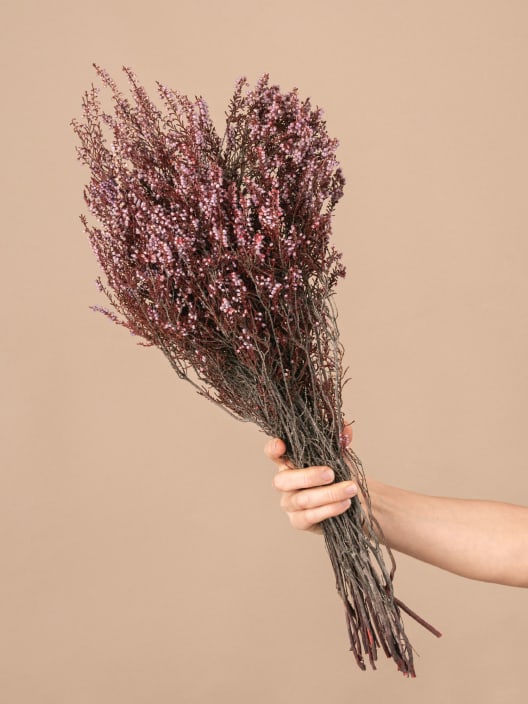 Ramillete Preservado de Erica