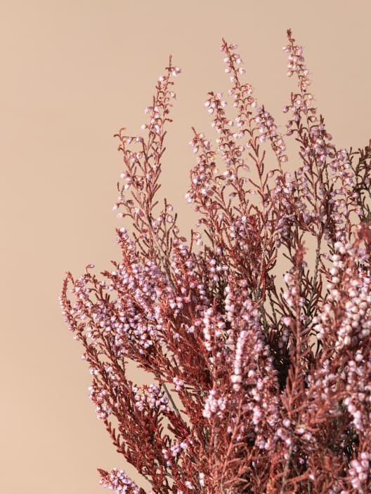 Ramillete Preservado de Erica