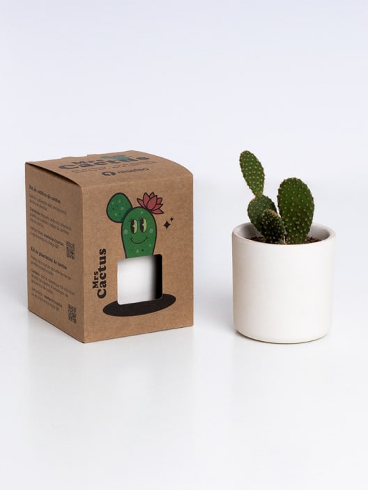 Kit de Plantación Mrs. Cactus Resetea