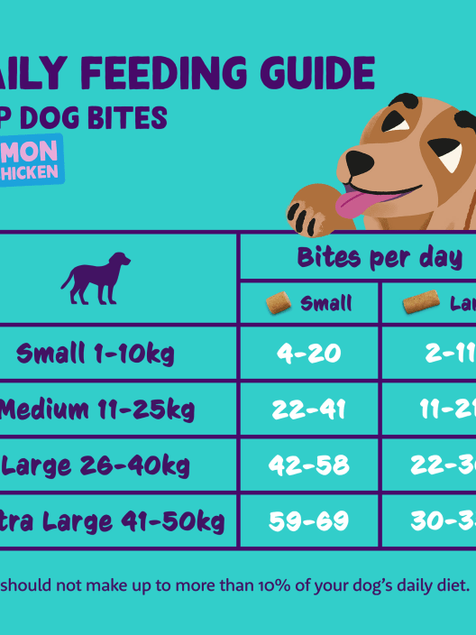 Bocaditos de salmón frescos (grandes) Edgard&Cooper