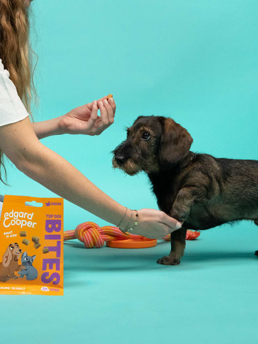 Bocaditos de pavo y pollo frescos (pequeños) Edgard&Cooper