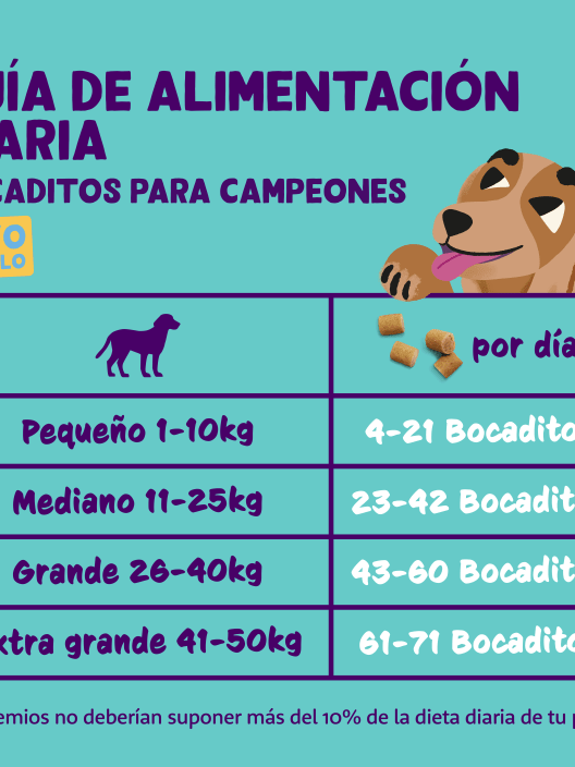 Bocaditos de pavo y pollo frescos (pequeños) Edgard&Cooper