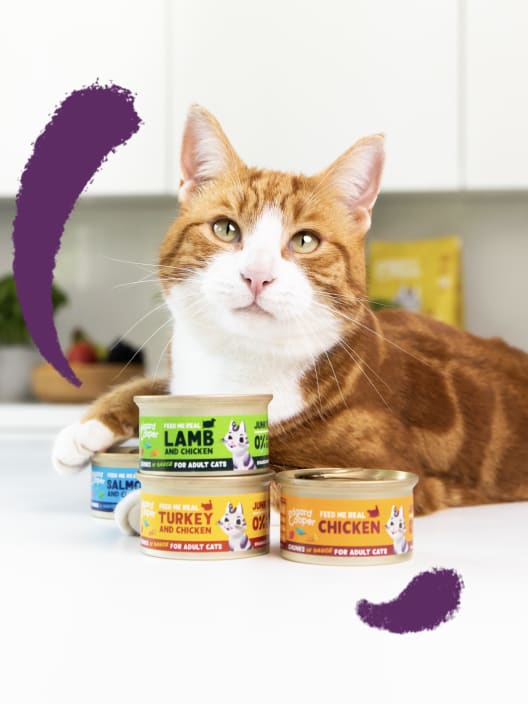 Alimento húmedo para gatos adultos - Trocitos en salsa de pavo y pollo Edgard&Cooper