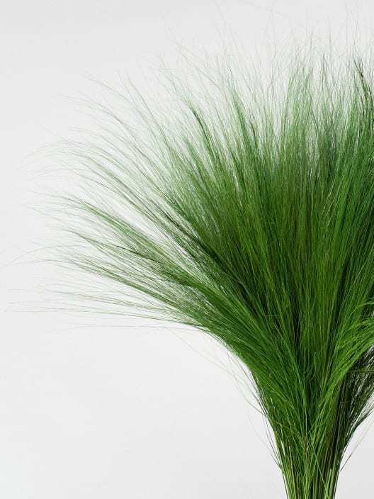Ramillete Preservado de Gramíneas verde