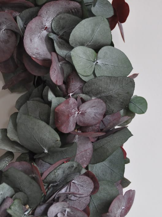 Preservado Fowey Querida Margarita