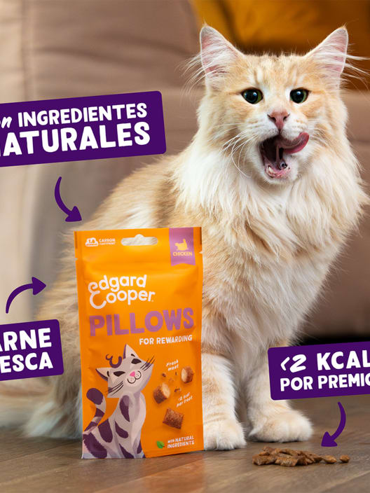Bocaditos de pollo para gatos adultos Edgard&Cooper