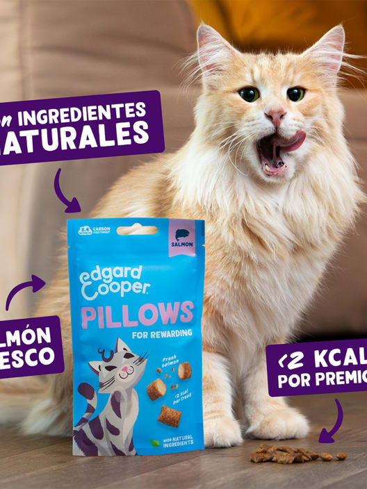 Bocaditos de salmón para gatos adultos Edgard&Cooper