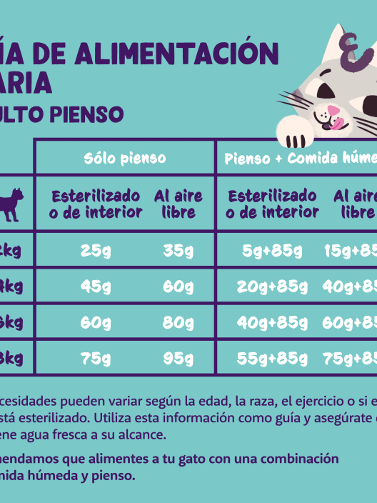 Comida seca Premium para gatos adultos (sabor salmón) Edgard&Cooper