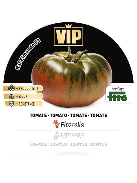 Tomate Raf Fimande - Planta de huerto