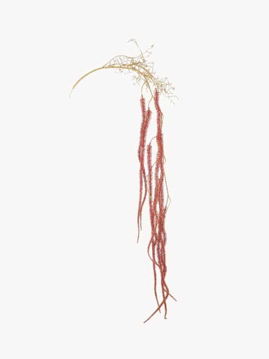 Rama artificial de Amaranthus roja 118 cm
